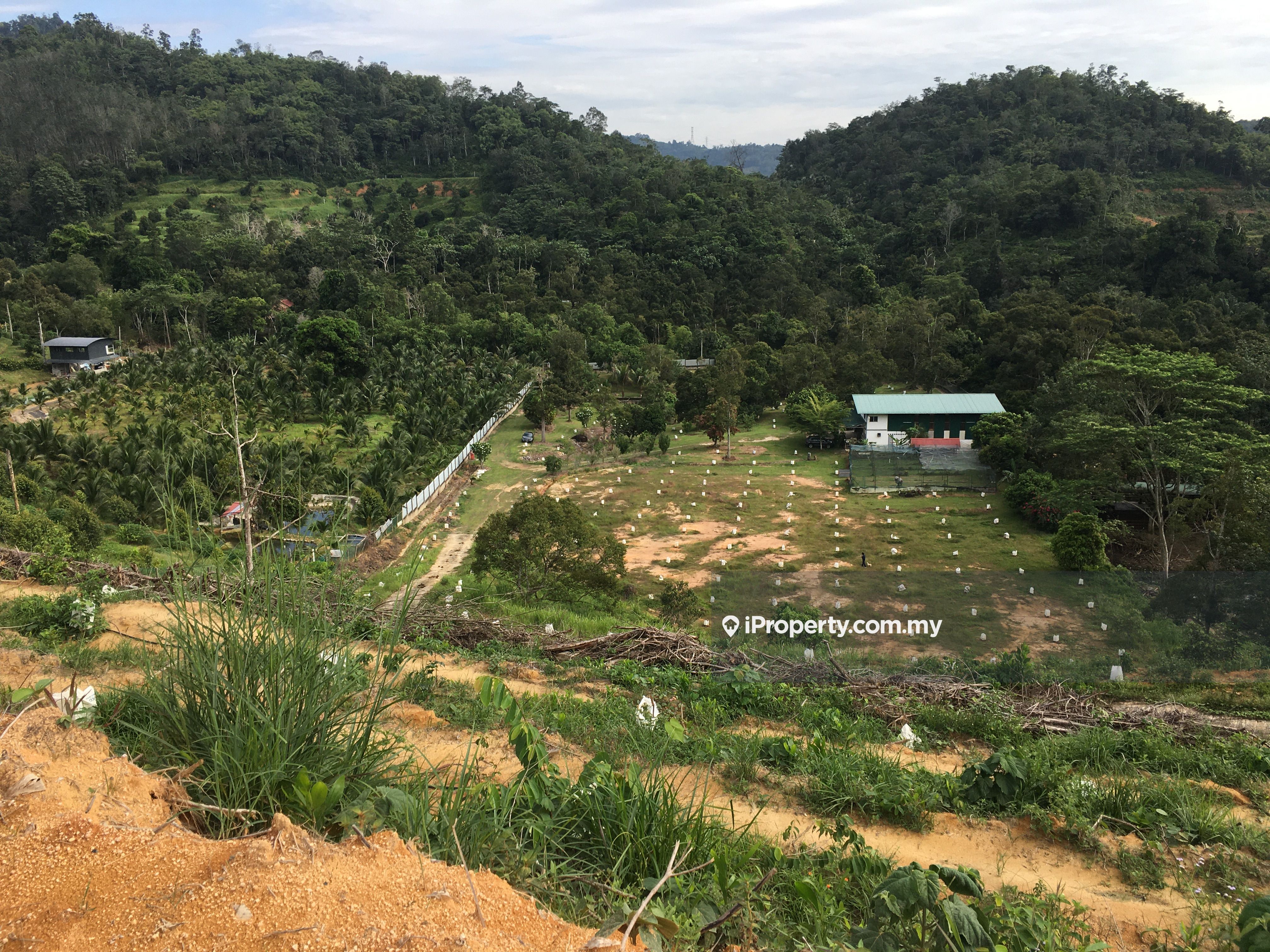 7 34 Acres Bentong Bukit Tinggi Bentong Trunk Road To Kl Bentong Agricultural Land For Sale Iproperty Com My