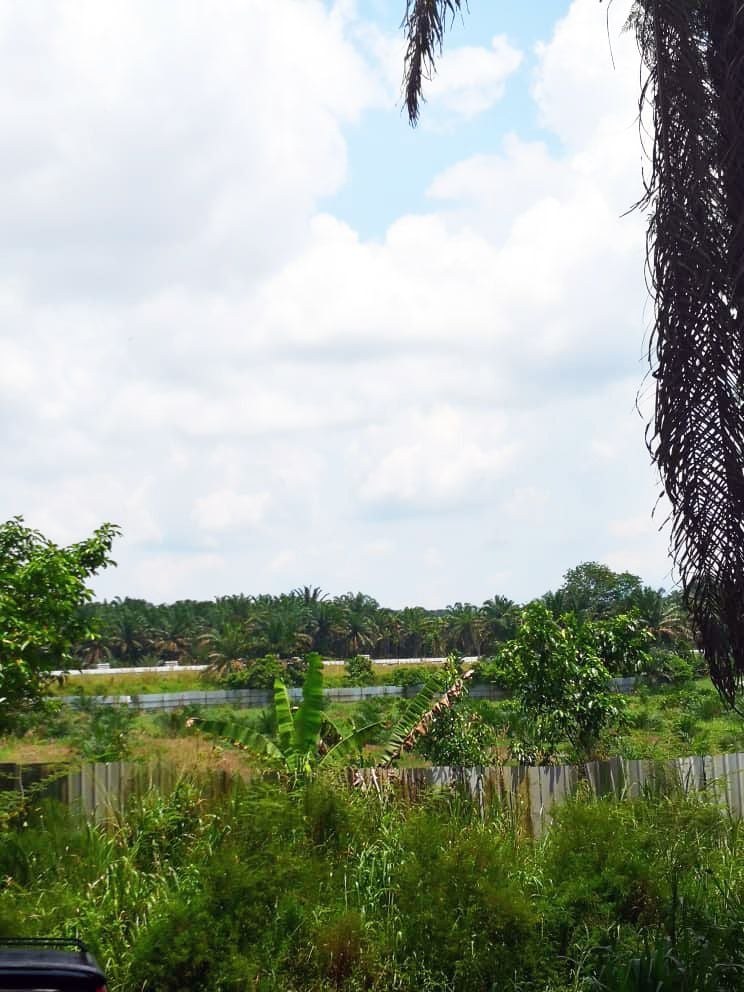 Kulai Agriculture Land, behind Resort, Kulai Agricultural Land for sale