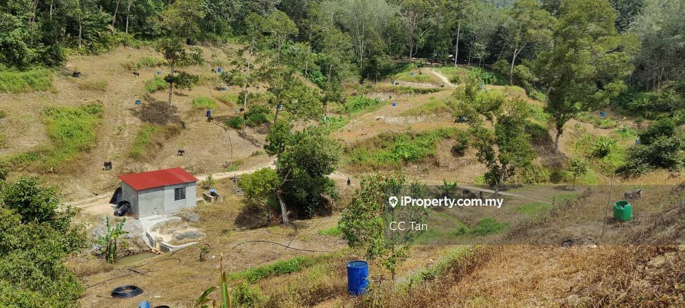 Kampung Chennah Titi Jelebu Negeri Sembilan Titi Agricultural Land Untuk Dijual Iproperty Com My