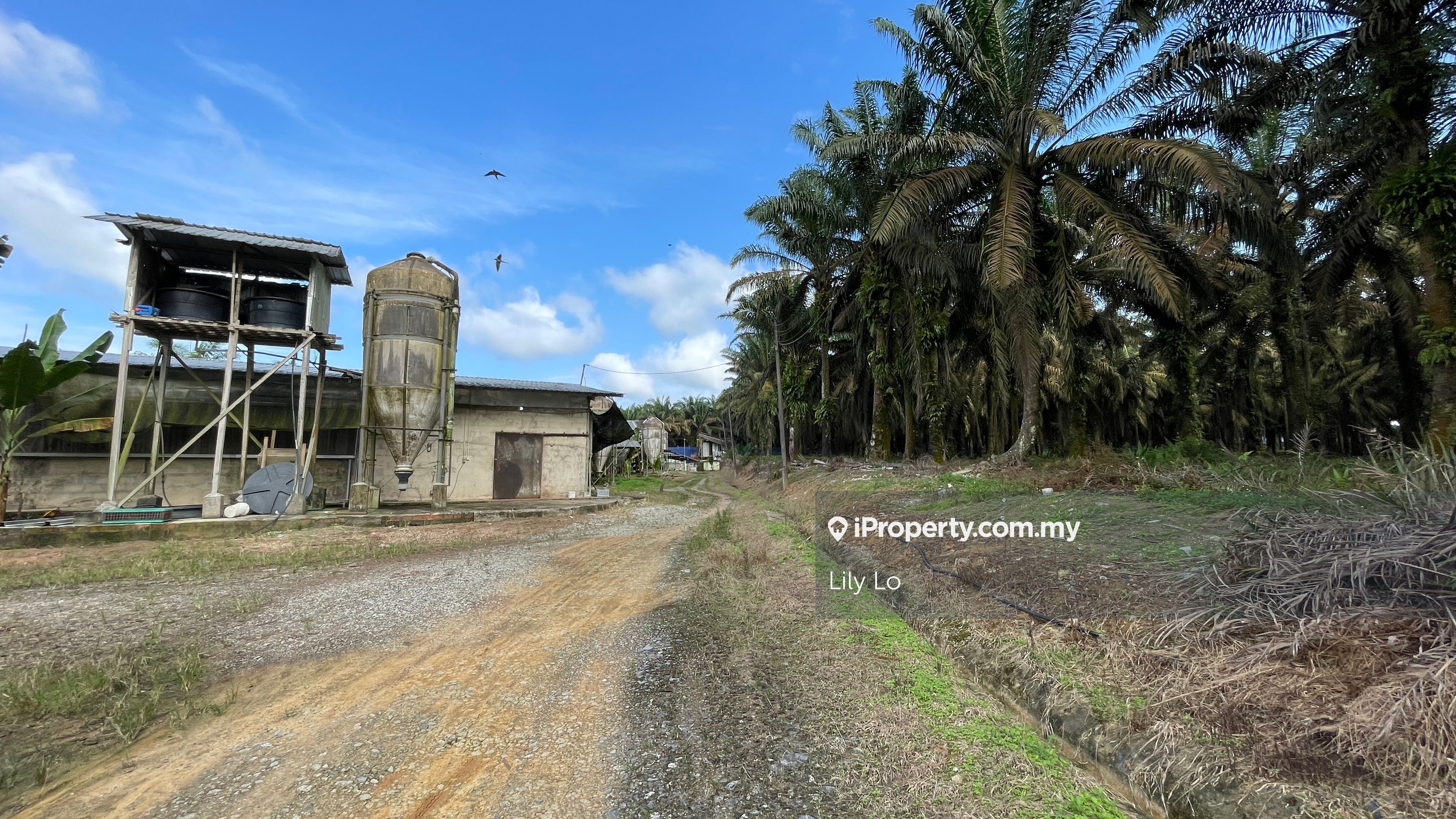Egg poultry farming for sale, Kg Murni Jaya, Layang Layang Agricultural