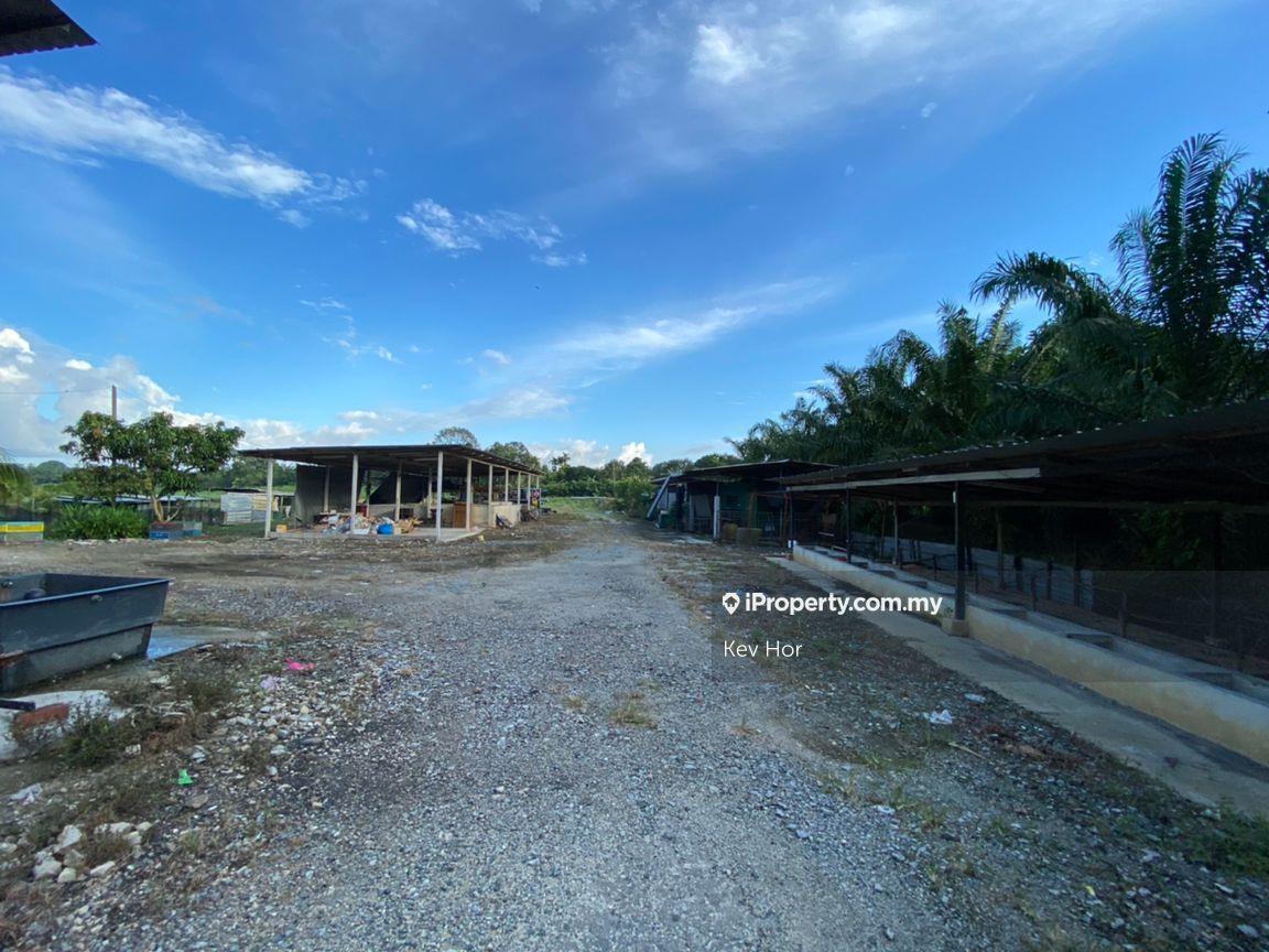 Pontian agriculture land , Pontian agriculture land , Pontian