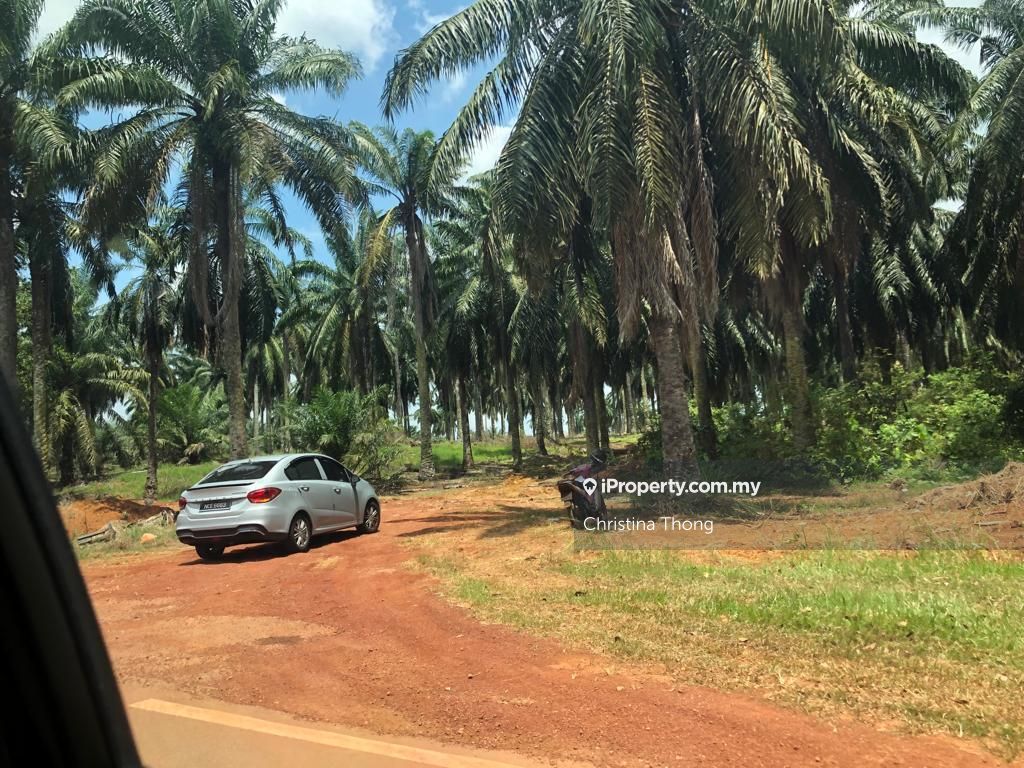 Pasir Panjang, Port Dickson Agricultural Land for sale