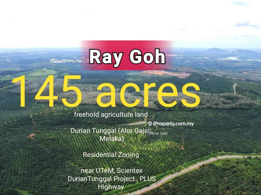 Durian Tunggal 145 Acres Scientex Utem Durian Tunggal Agricultural Land Untuk Dijual Iproperty Com My