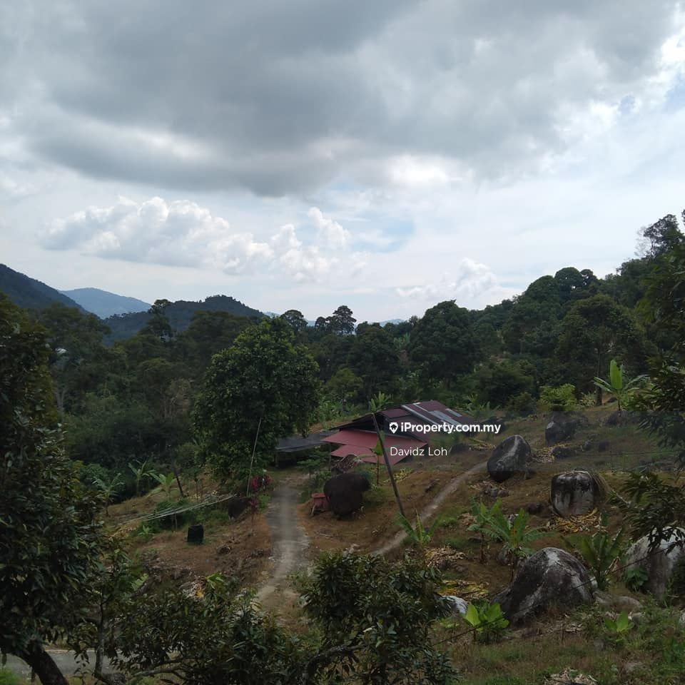 Balik Pulau Sg Pinang Nice Beautiful Seaview Orchard Located At Sungai Pinang Balik Pulau Sungai Pinang Balik Pulau Agricultural Land For Sale Iproperty Com My