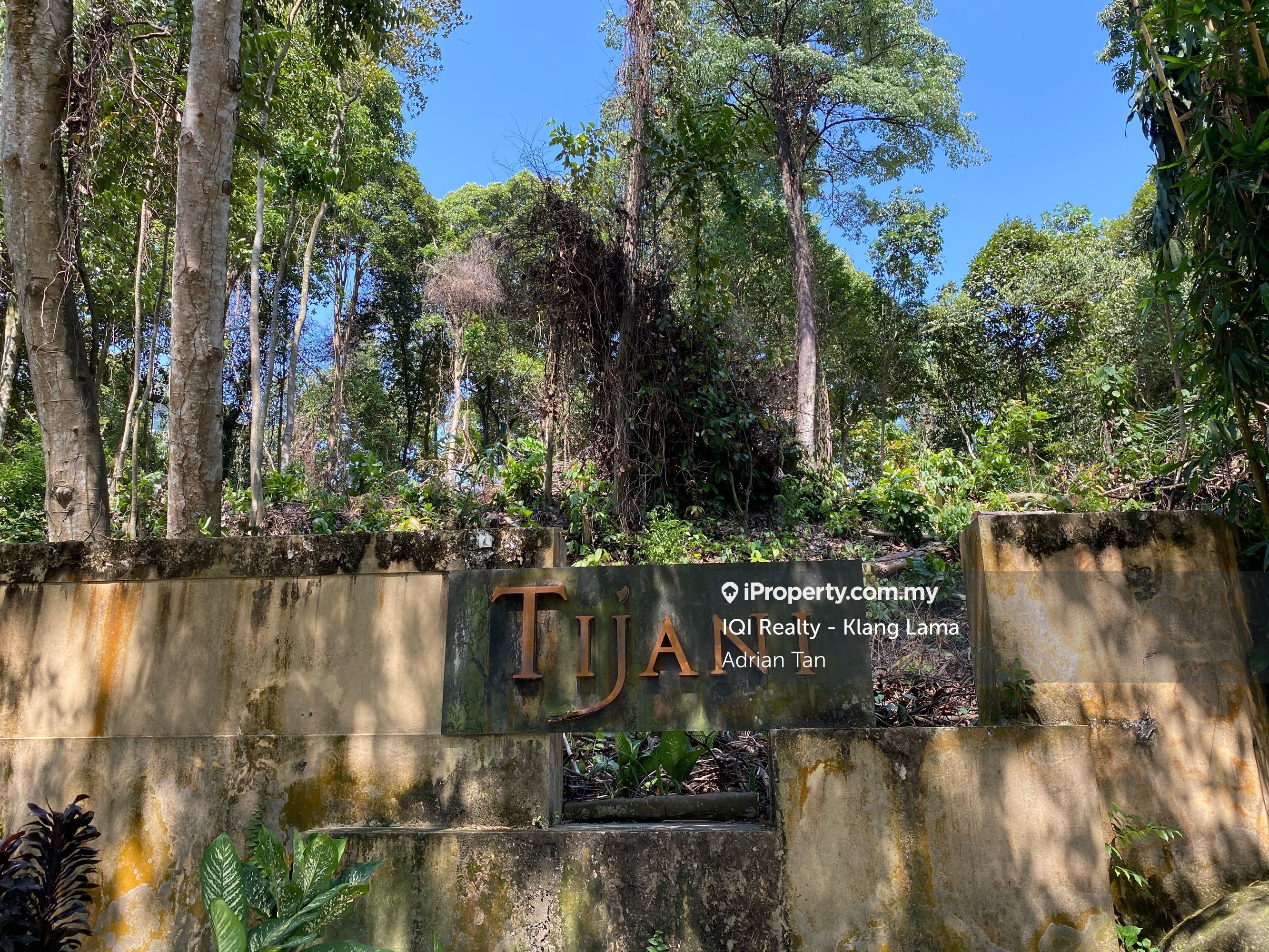 Tijani 1, Bukit Tunku (Kenny Hills)