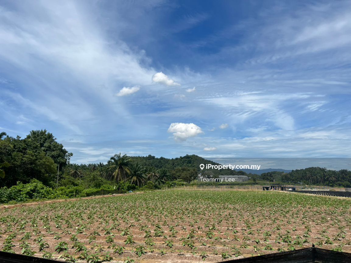 120 acres Agriculture land at Kajang, jalan reko, sungai Tangkas