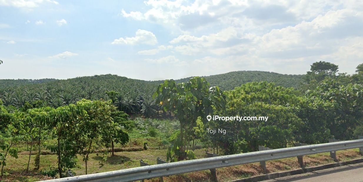 Agricultural Land in Seremban — photo 2 of 5