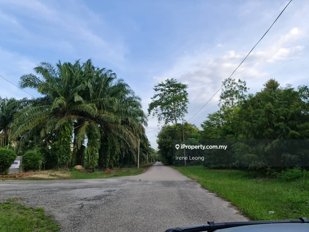 3 6 Ac Karak Behind Malay School Rubber Land For Sales Agricultural Land For Sale In Karak Pahang Iproperty Com My