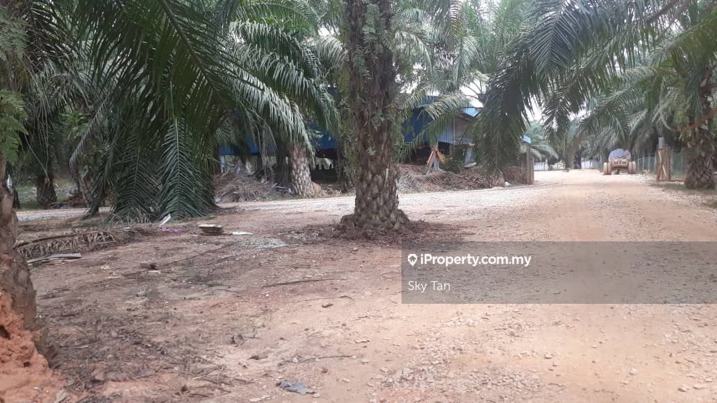 Kelatan Renok Gua Musang Gua Musang Agricultural Land For Sale Iproperty Com My