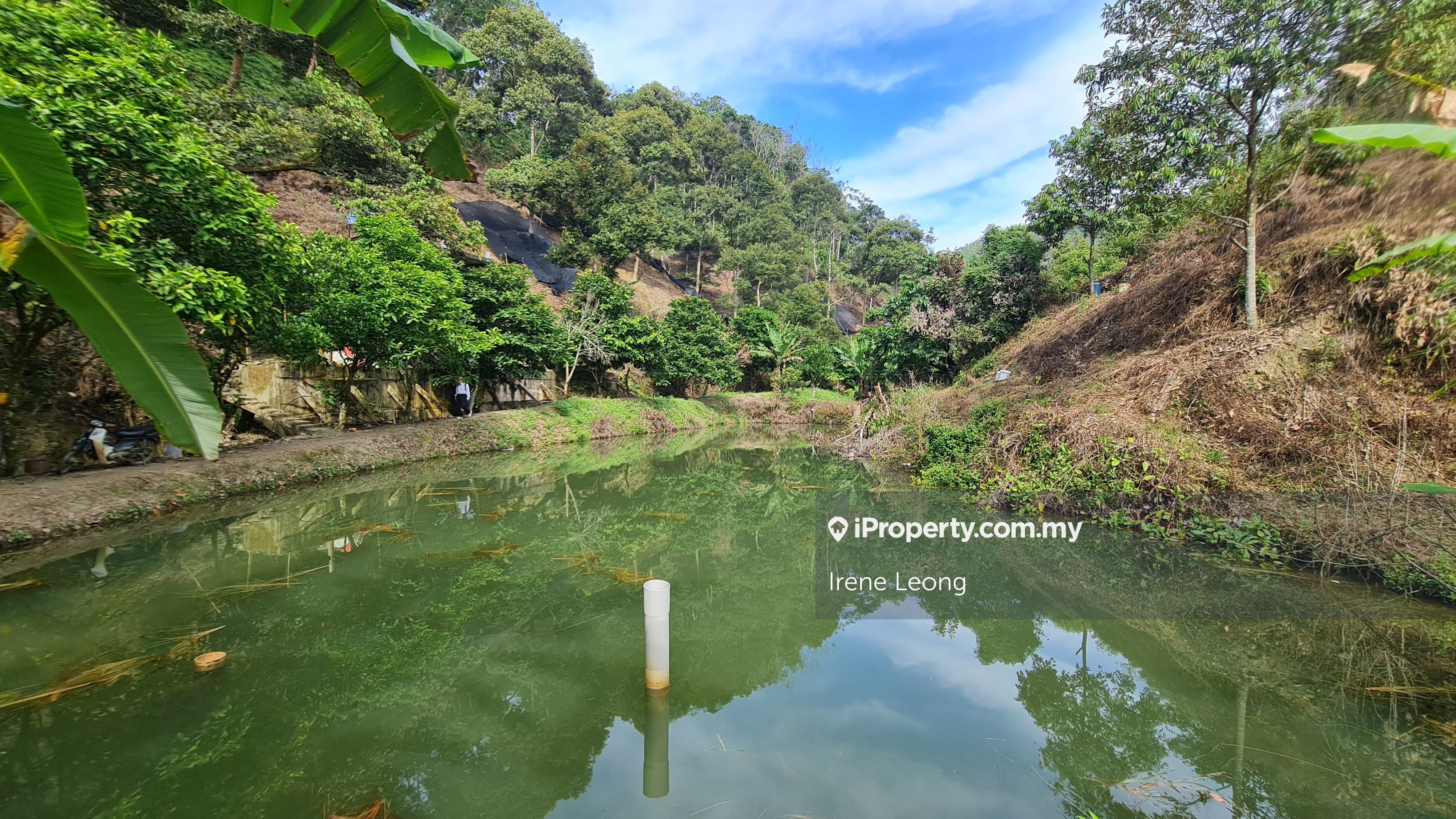 37 acres Bentong (Taman Saga) Vacant + Durian Land For Sale, Bentong