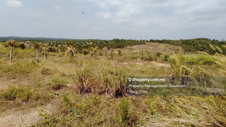 Development Commercial Land Commercial Land For Sale In Gelang Patah Johor Iproperty Com My