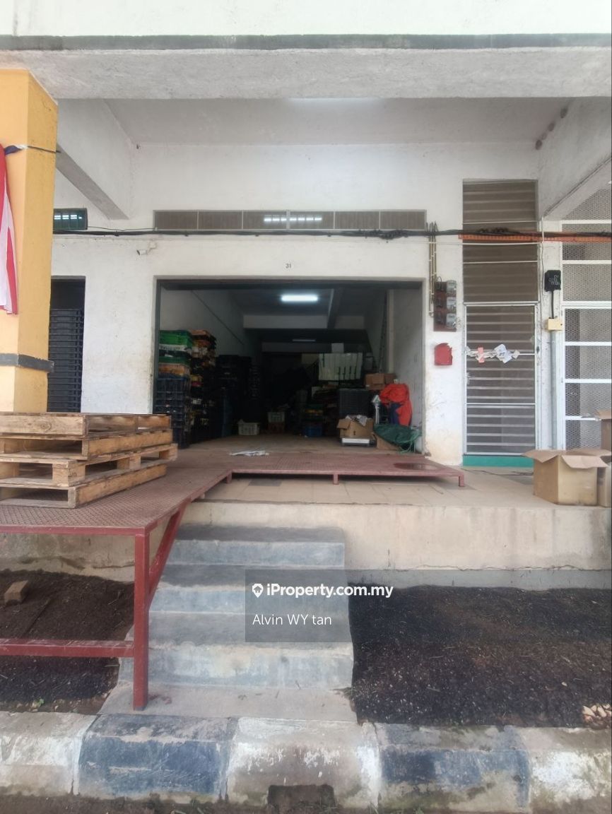 Cameron Highland (oriental lily), Cameron Highlands Shop for rent