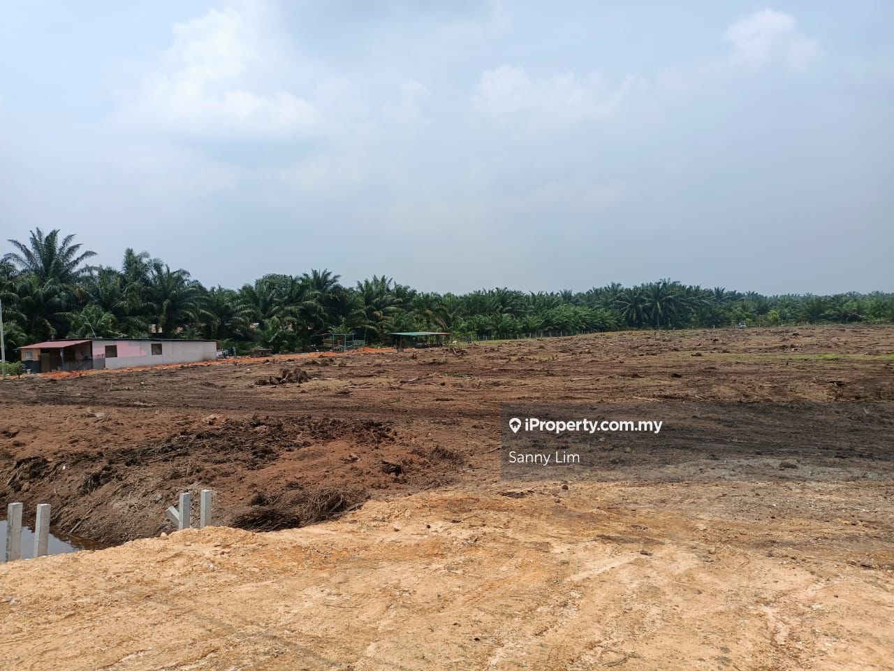 Flat Agriculture Land For Rent Jalan Raja Musa Kuala Selangor Ijok