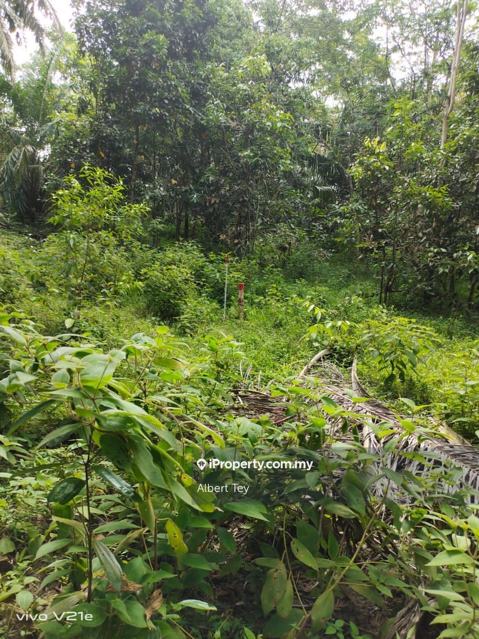 Kg Rantau Panjang Kota Tinggi Agricultural Land for sale, Kg Rantau