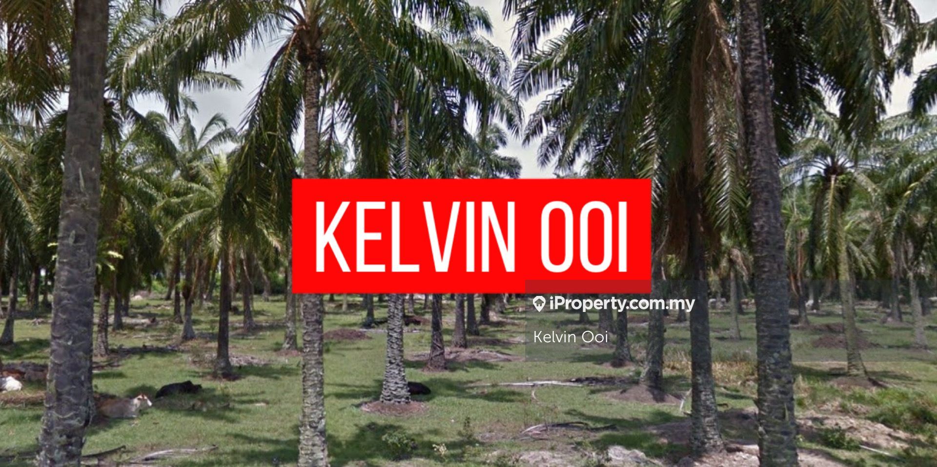 INDUSTRIAL LAND SALE 16 ACRES SQUARE SHAPE AT SUNGAI JAWI , Jawi