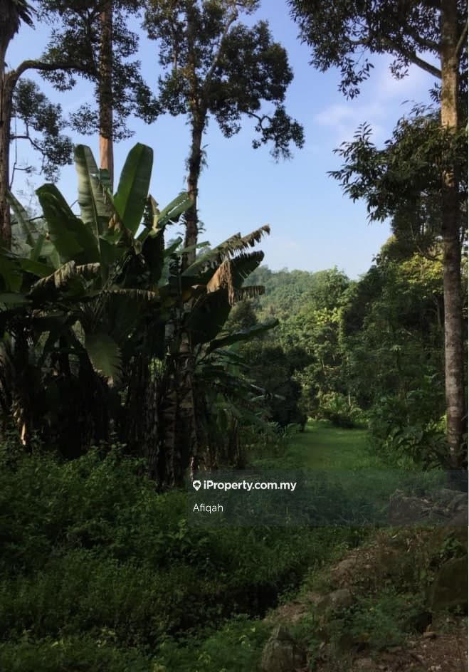 Kg Dusun Tua Seberang Hulu Langat Kg Dusun Tua Seberang Hulu Langat Agricultural Land Untuk Dijual Iproperty Com My