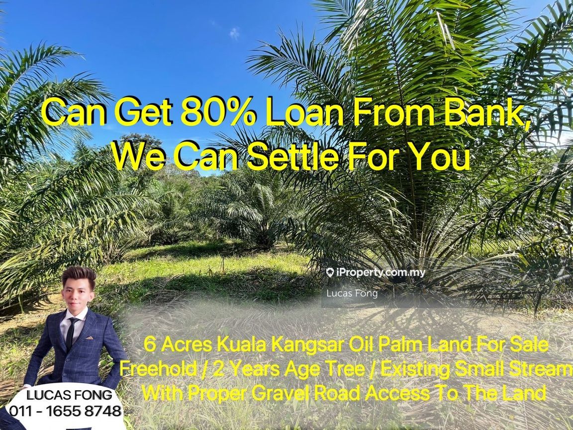 6 Acres 4 Years Age Oil Palm Land For Sale, Kuala Kangsar for sale