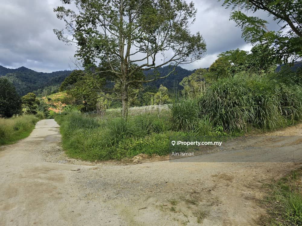 JANDA BAIK, Bentong Agricultural Land for sale