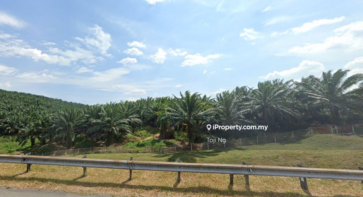 Agricultural Land in Seremban — photo 4 of 5