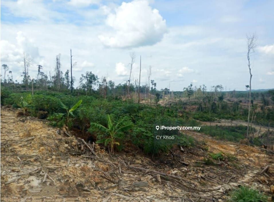 Pahang Rompin Keratong 4680 acres Empty Land for SALE, Negeri Pahang ...