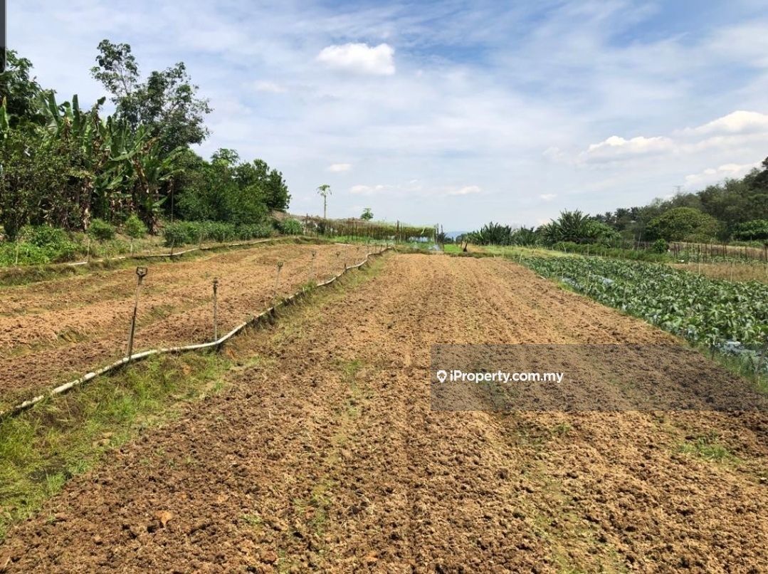 Semenyih Agricultural Land for rent