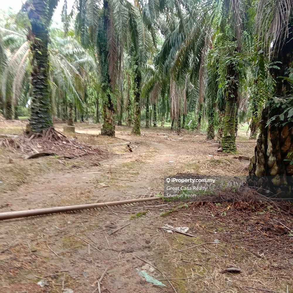Slim River Agricultural Land, Slim River for sale RM621000