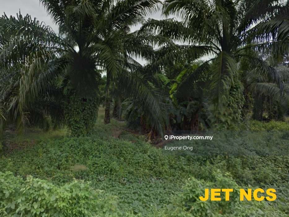 Pulau Carey Agriculture Land Freehold, Pulau Carey for sale