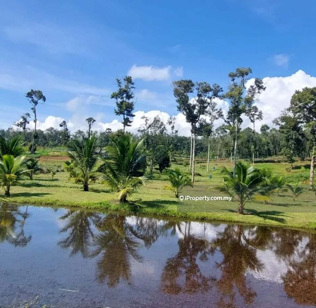 Kuala Kangsar Agricultural Land for sale