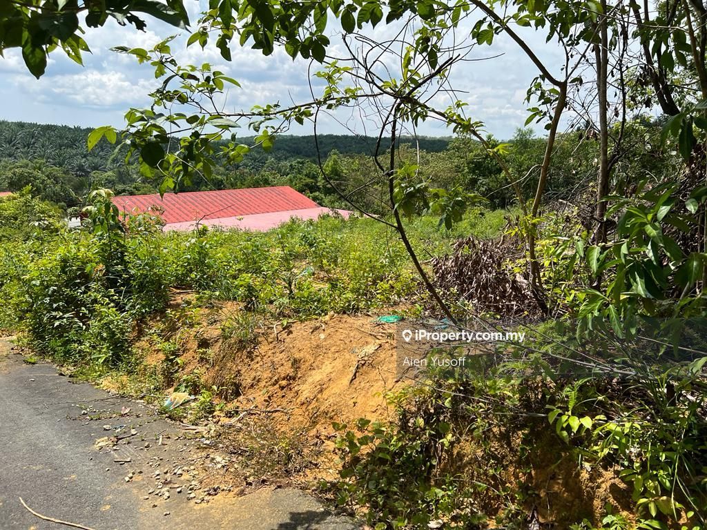 Chalok, Setiu