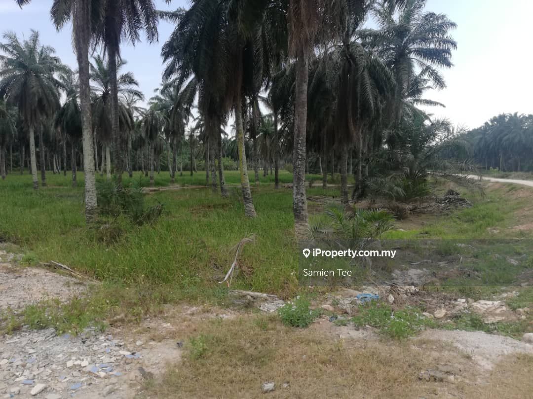 Jalan Kuala Selangor Kuala Selangor Agricultural Land For Sale Iproperty Com My