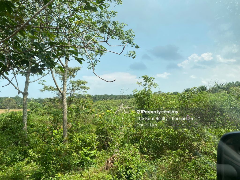 Sungai Udang Sungai Udang Land Sungai Udang Agricultural Land For Sale Iproperty Com My