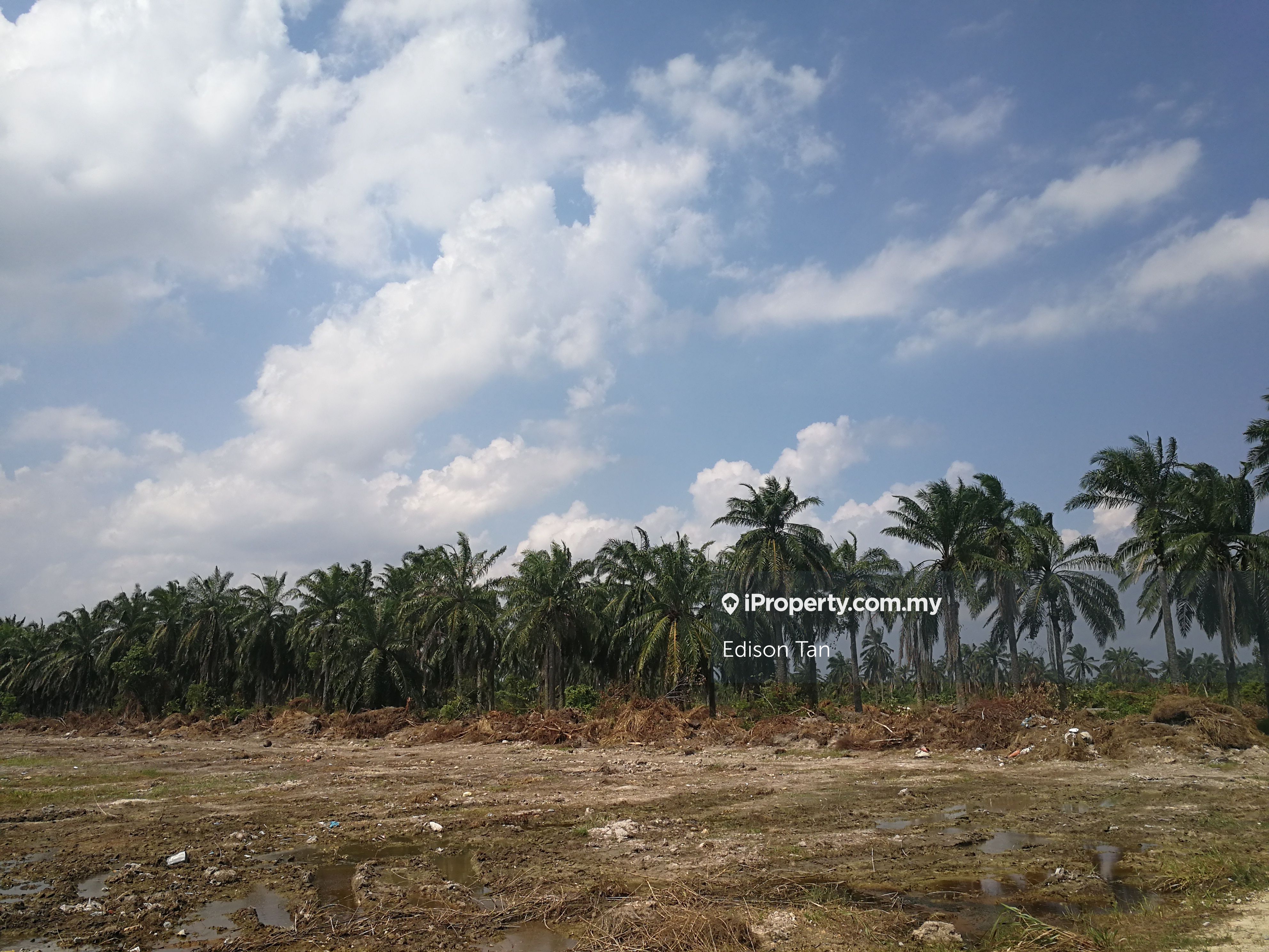 120k Sqft Land Pulau Indah Palau Carey Port Klang Kapar Westport, Palau ...