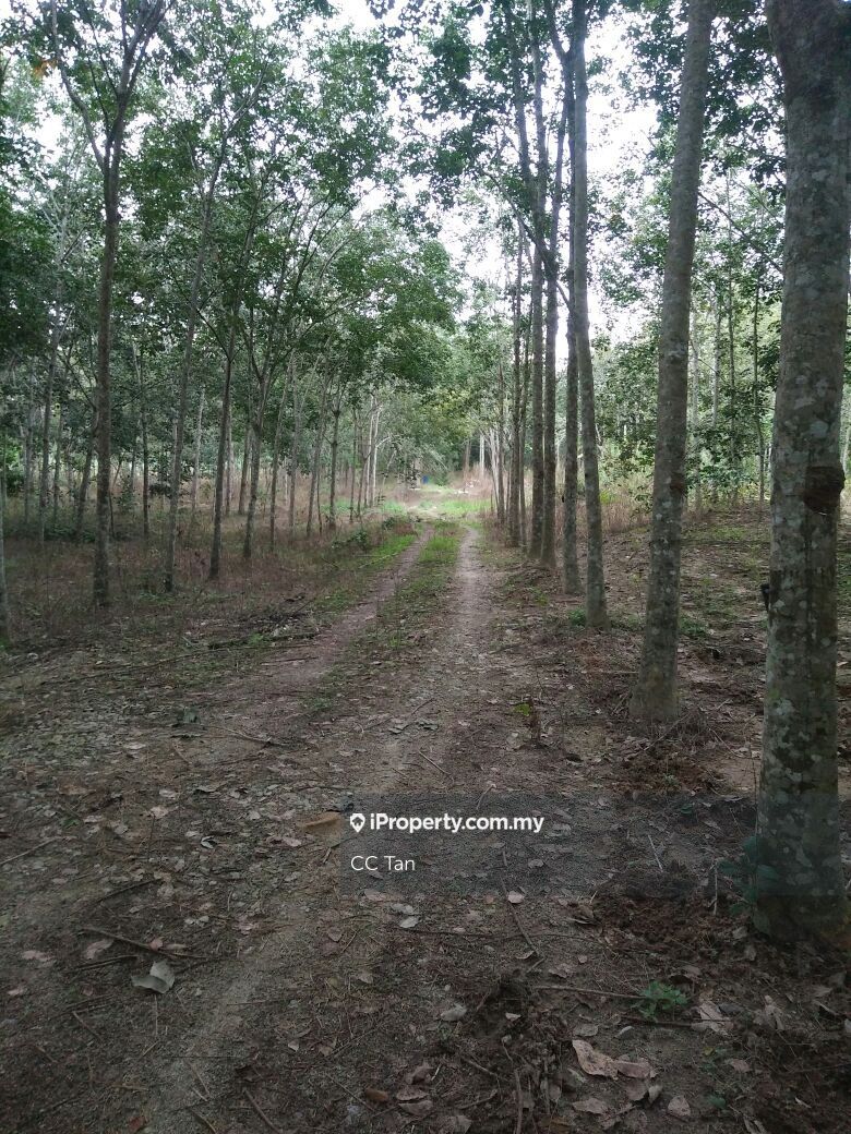 Pertang, Jelebu, Negeri Sembilan, Jelebu Agricultural Land for sale