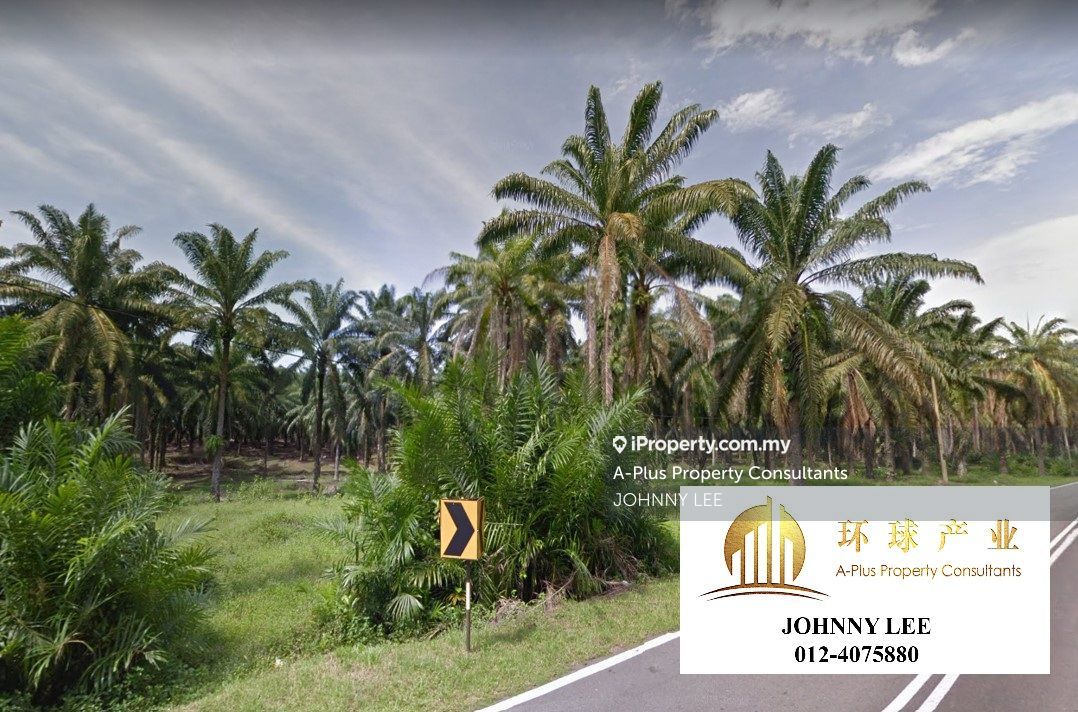 110.95 Acre Agricultural Land Beside MBI DESAKU , Kulim Agricultural