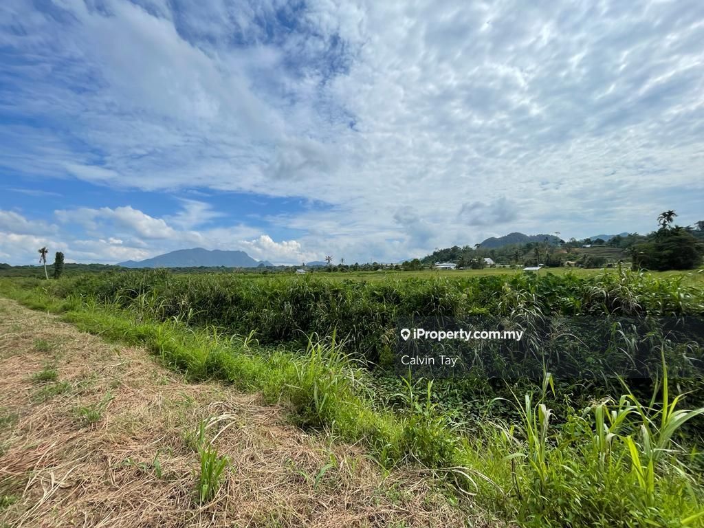 3.8 Acres Land at 27th Mile, near Skuduk Padi Field Kuching , Kuching