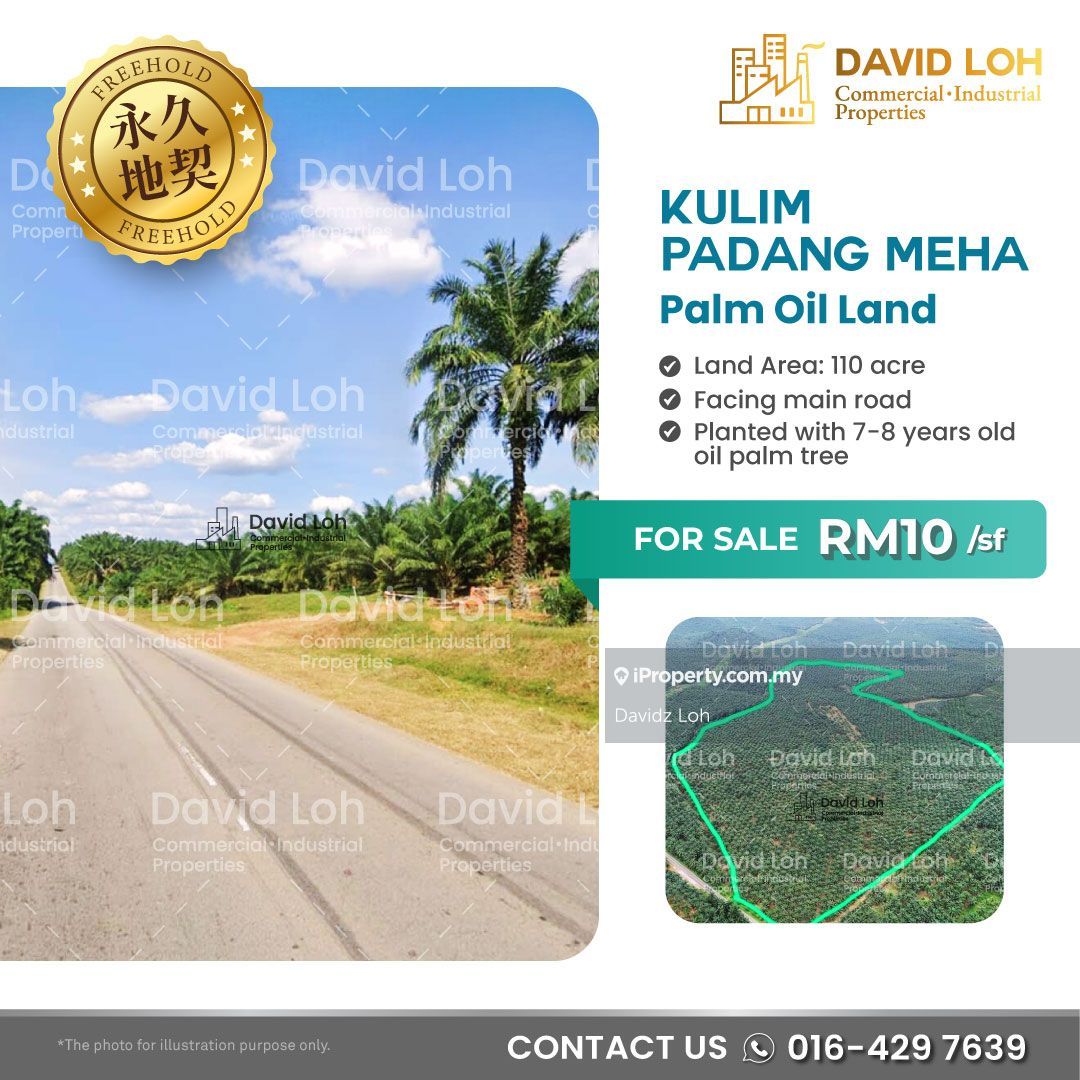 110 Acres Palm Oil Land For Sale Kulim, Padang Meha, Kulim