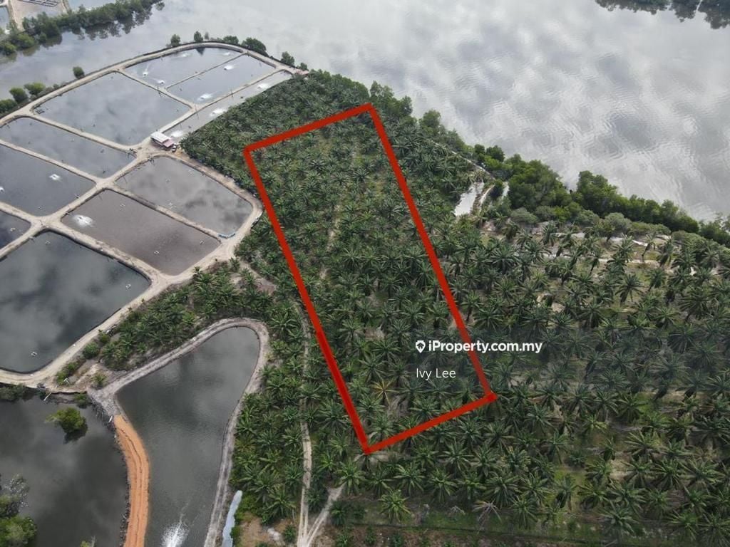 Agriculture Land, Manjung, Changkat Keruing Agricultural Land for sale