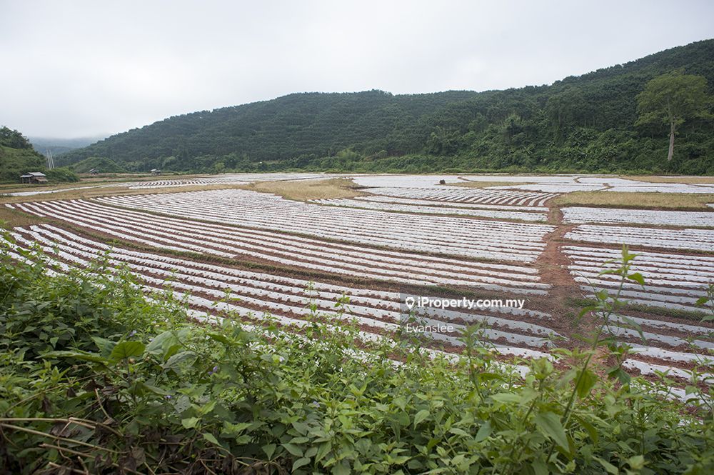 Agricultural Land Bidor, Perak, Agricultural Land for Rent Bidor