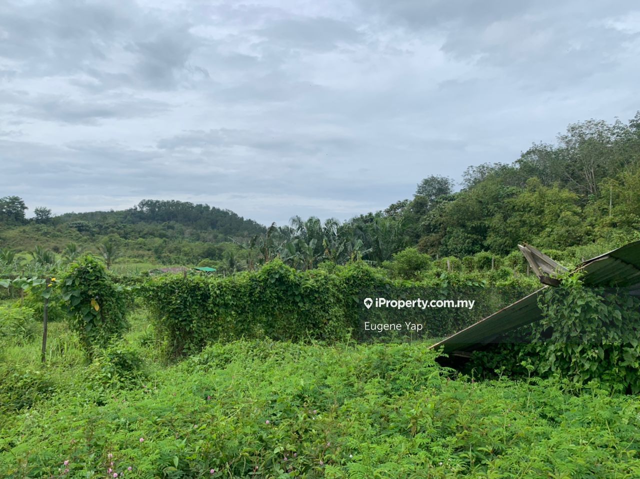 Kuala Kubu Bharu,Selangor,Freehold Agriculture Land, Kuala Kubu Bharu