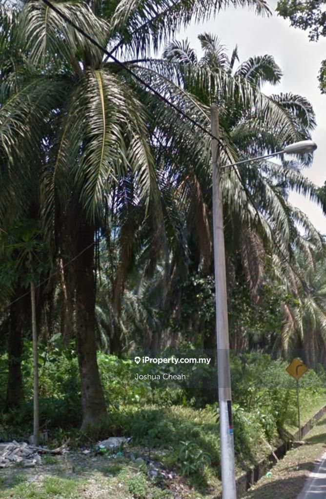 Jawi Sg Nuri Agri Residential Land Agricultural Land For Sale In Sungai Jawi Penang Iproperty Com My