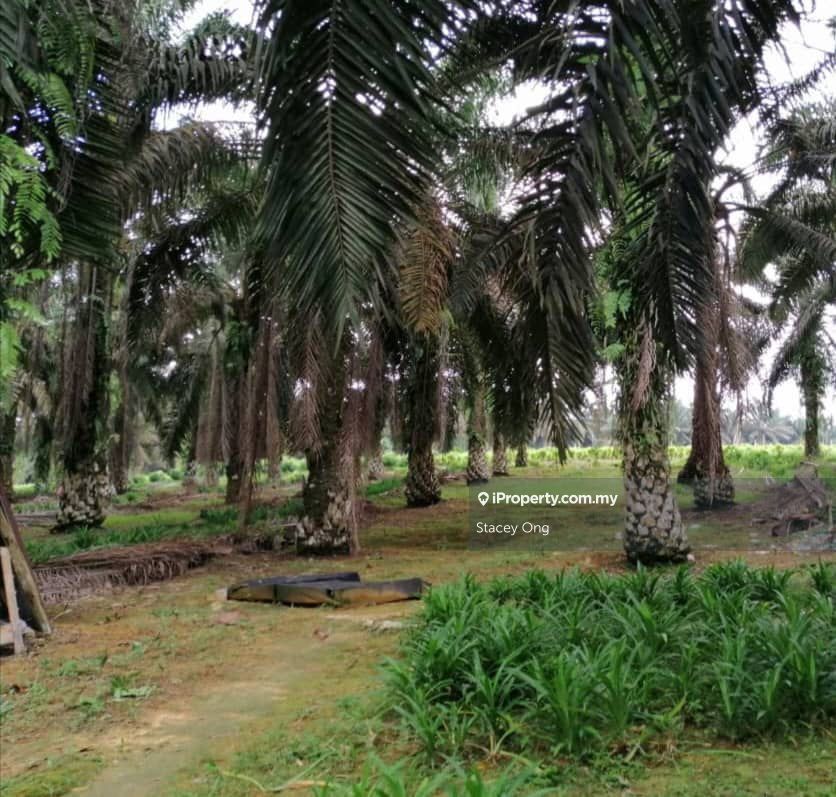 Johor Kulai Agricultural land for sale, Johor Kulai Agricultural land for sale, Kulai for sale