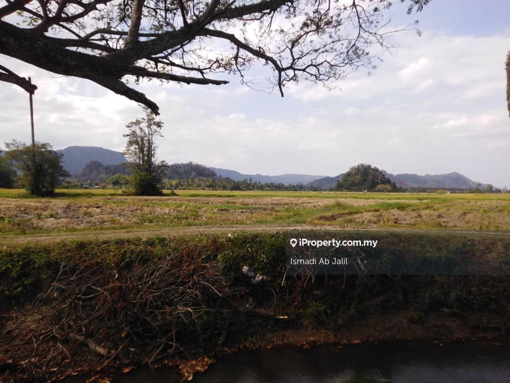 Pelan Pesaraan View Banjaran Nakawan Border Mas Thai Tanam Mangga Harumanis Ternak Ikan Tanah Pertanian Sungai Siran Kangar Agricultural Land For Sale Iproperty Com My