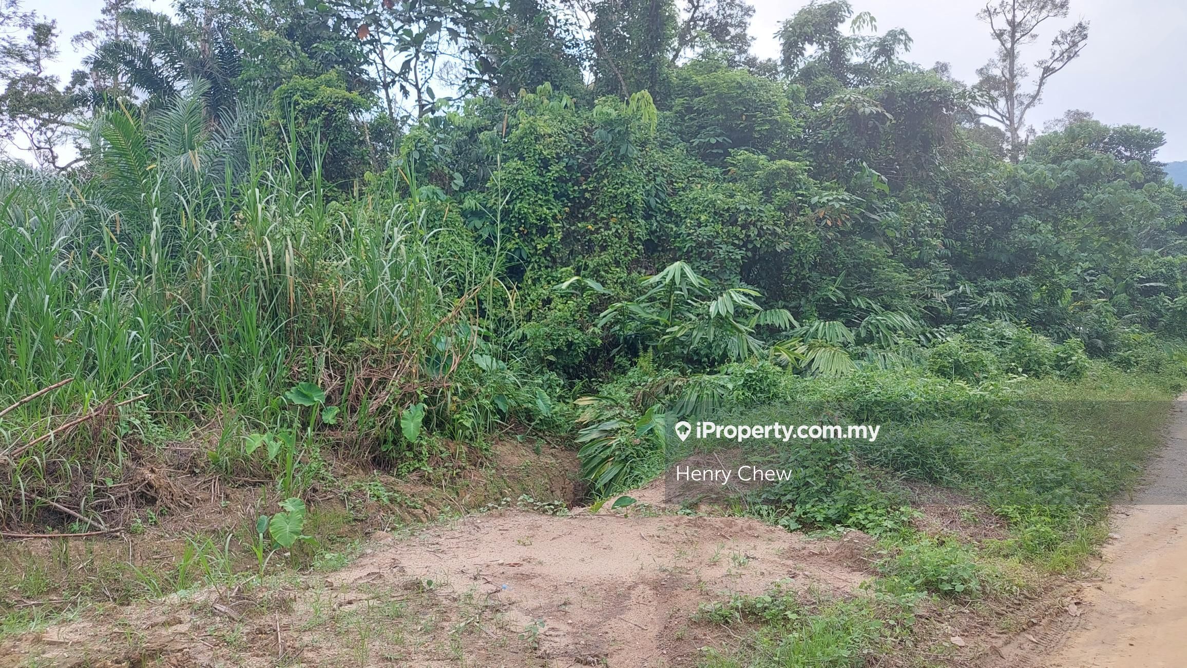 Agricultural Land For Sale in Broga Semenyih, Kajang, Semenyih