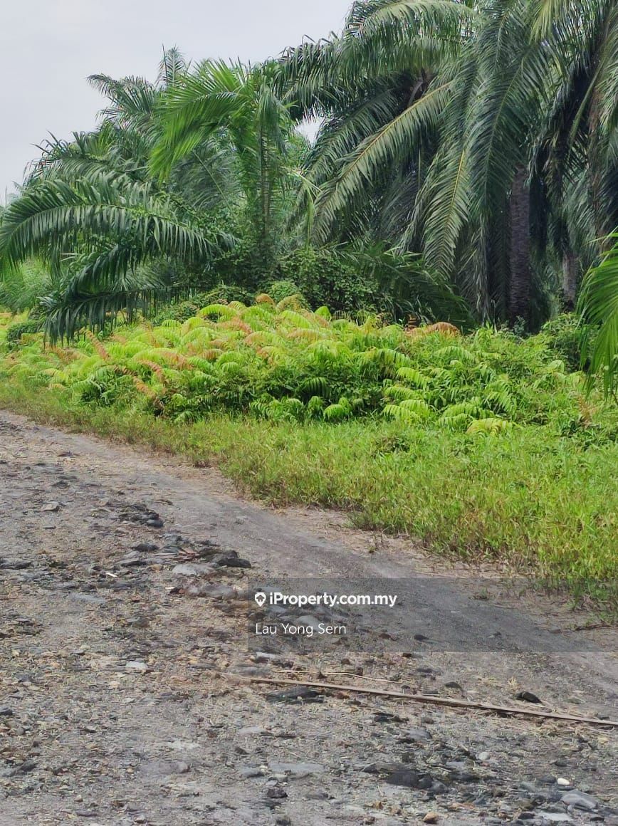 Batu Kawan Industrial Land, Batu Kawan Industrial Land for sale