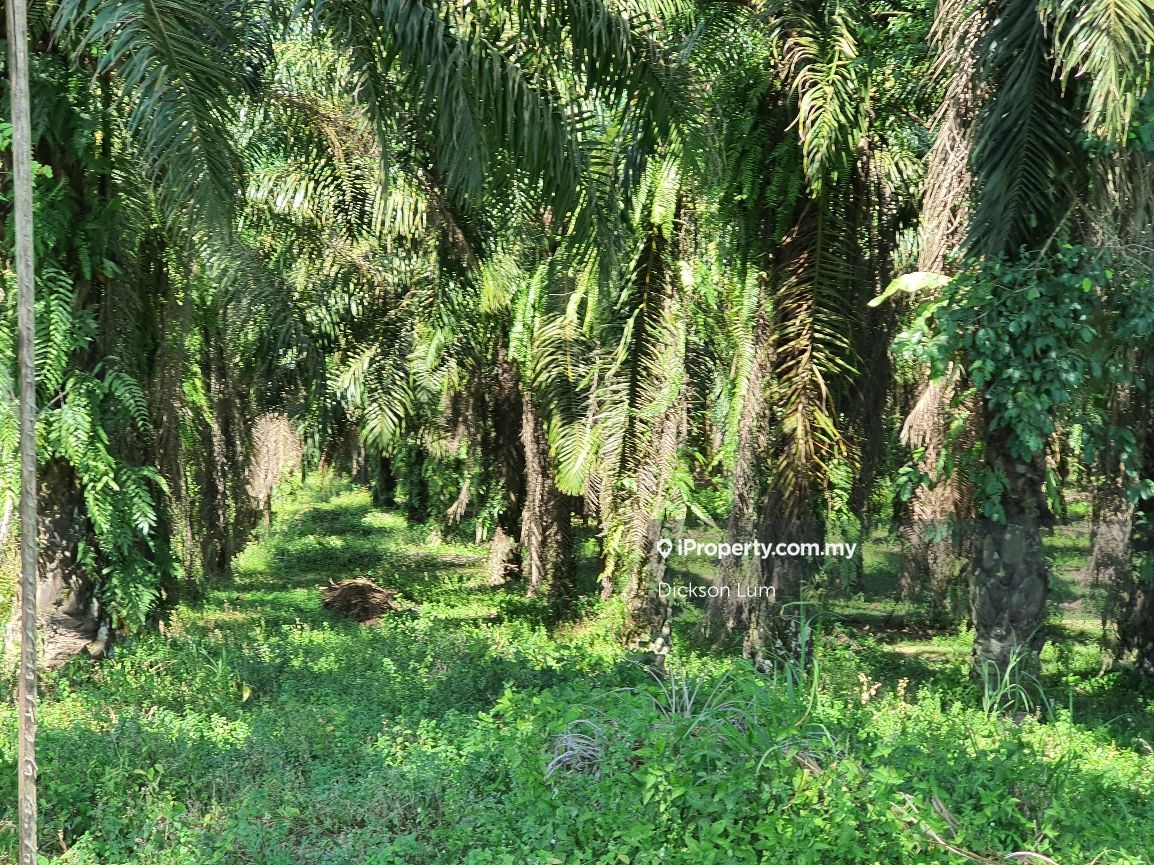 PORT DICKSON DEVELOPMENT LAND FOR SALE, Pasir Panjang, Port Dickson for