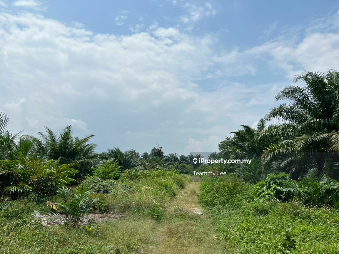 3 Acres Agricultural Land, Jalan Paip,Meru,Klang, Desa Bukit Nilam ...