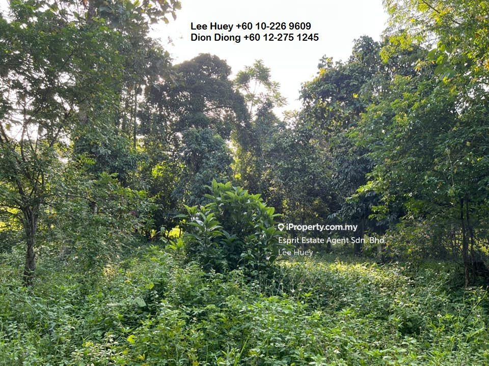 2.45 Hectare Hak Milik Kekal Tanah Pertanian, Freehold Agricultural