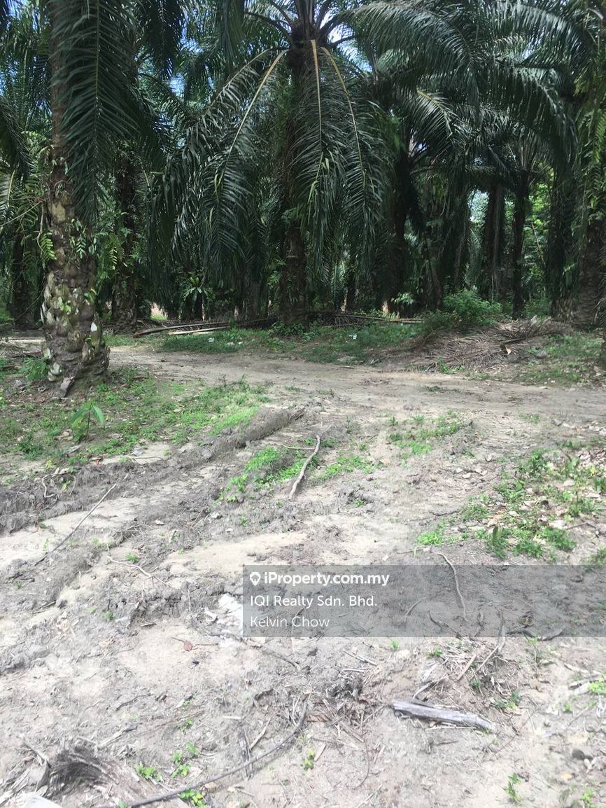 Pengkalan Agriculture Land For Sale Ipoh Agricultural Land For Sale Iproperty Com My