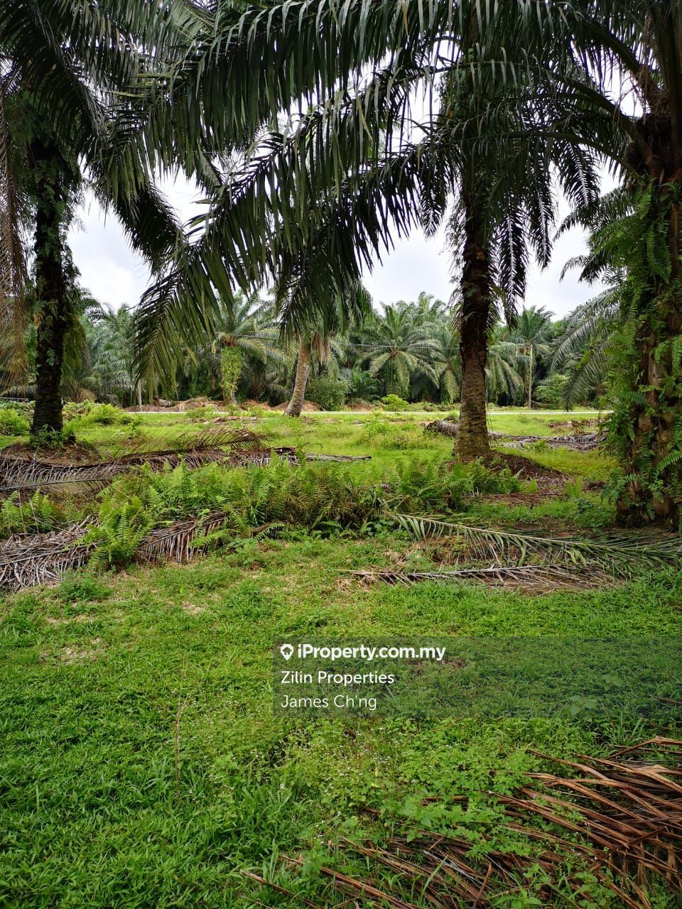 Industrial zoning land sungai choh bukit sentosa serendah rawang