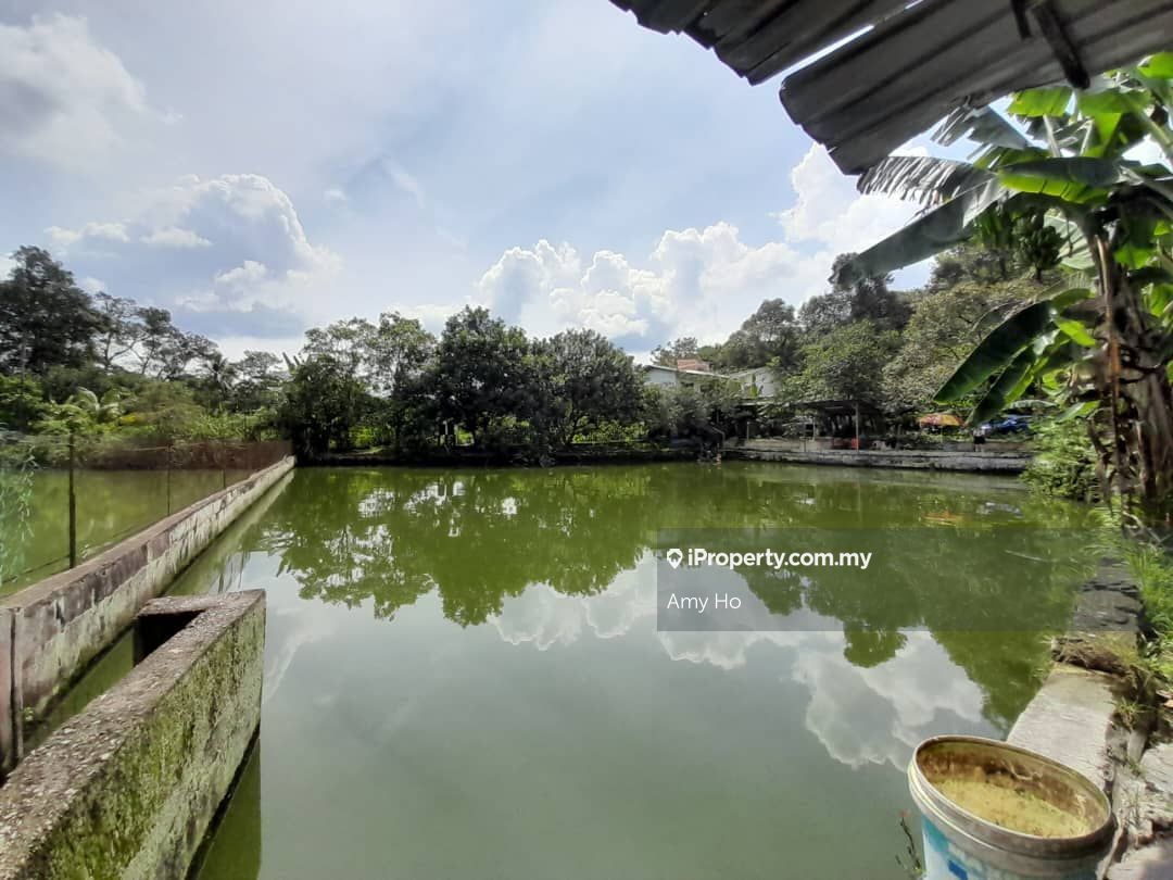 Hulu Langat Agriculture Land Plus Fish Ponds, Hulu Langat Fish Ponds
